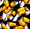 Toucan Night 24 in. x 36 in. Acrylic on Canvas